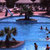 Jasmine Beach Village , Hurghada, Red Sea, Egypt - Image 15
