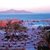 Hauza Beach Resort , Sharm el Sheikh, Red Sea, Egypt - Image 2