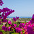 Iris Hotel , Afandou, Rhodes, Greek Islands - Image 7