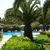 Livadi Nafsika Hotel , Dassia, Corfu, Greek Islands - Image 3