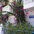 Castle View Apartments , Haraki, Rhodes, Greek Islands - Image 2