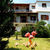 Sergios Studios and Apartments , Koukounaries, Skiathos, Greek Islands - Image 6
