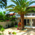 Esperia Hotel , Laganas, Zante, Greek Islands - Image 6