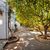 Lemon Tree Apartments , Pefkos, Parga, Greece - Image 8