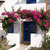 Lindos Sun Hotel , Lindos, Rhodes, Greek Islands - Image 8