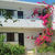 Yiannis Apartments , Psalidi, Kos, Greek Islands - Image 4
