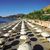 Hotel Isabella , Taormina, Sicily, Italy - Image 5
