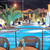Hotel Max Prestige , Budva, Montenegro Beaches, Montenegro - Image 5