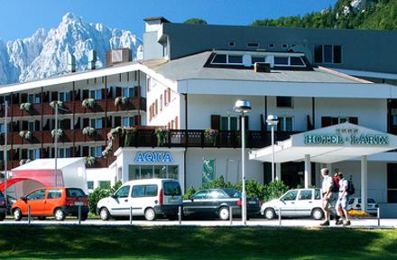 Hotel Larix