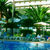 Riu Playa Park Hotel , Playa de Palma, Majorca, Balearic Islands - Image 5
