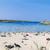 Beach Club Apartments , Son Parc, Menorca, Balearic Islands - Image 12