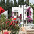 Safir Hotel and Pool , Bitez, Aegean Coast, Turkey - Image 5