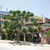 Selge Hotel , Side, Mediterranean Coast (antalya), Turkey - Image 6
