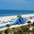 Tradewinds Island Grand Resort , St Petersburg, Florida, USA - Image 9