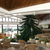 Hotel Imperial , Golden Sands, Black Sea Coast, Bulgaria - Image 7