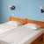 Hotel Flora , Nessebar, Black Sea Coast, Bulgaria - Image 3