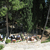 Hotel Croatia , Hvar, Central Dalmatia, Croatia - Image 5