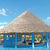 Bellevue Palma Real , Varadero, The Cayos, Cuba - Image 4