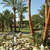 Palm Beach Hotel , Larnaca, Cyprus All Resorts, Cyprus - Image 12