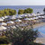 Apollonia Beach Hotel , Limassol, Cyprus All Resorts, Cyprus - Image 6
