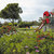 Aloe Hotel , Paphos, Cyprus All Resorts, Cyprus - Image 11
