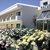 Natura Beach Hotel , Polis, Cyprus All Resorts, Cyprus - Image 5