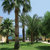 Malama Holiday Village , Protaras, Cyprus All Resorts, Cyprus - Image 9