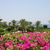AA Grand Oasis Resort , Sharm el Sheikh, Red Sea, Egypt - Image 12