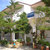 Yalis Apartments , Achladies, Skiathos, Greek Islands - Image 4