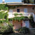 Edem Studios , Sivota, Lefkas, Greece - Image 1