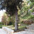 Edem Studios , Sivota, Lefkas, Greece - Image 6