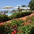 Cretan Garden Hotel , Hersonissos, Crete East - Heraklion, Greece - Image 4