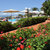 Cretan Garden Hotel , Hersonissos, Crete East - Heraklion, Greece - Image 4