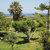 Oceanis Hotel , Hersonissos, Crete, Greek Islands - Image 8
