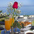 Akti Taygetos Resort , Kalamata, Peloponnese, Greece - Image 11