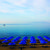 Mitsis Hotels Summer Palace , Kardamena, Kos, Greek Islands - Image 6