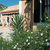 Efrosini Village , Katelios, Kefalonia, Greek Islands - Image 7