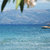 Sofia Beach Apartments , Kavos, Corfu, Greek Islands - Image 6