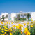 Eftichia Apartments , Kefalos, Kos, Greek Islands - Image 1