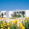 Eftichia Apartments in Kefalos, Kos, Greek Islands