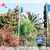 Nina Beach Hotel , Marmari - Kos, Kos, Greek Islands - Image 4