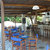 Lalaria Hotel , Megali Ammos, Skiathos, Greek Islands - Image 3