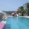 Palm Grove in Sidari, Corfu, Greek Islands