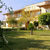 Olive Grove Apartments , Svoronata, Kefalonia, Greek Islands - Image 10
