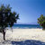 Oasis Tingaki Apartments , Tigaki, Kos, Greek Islands - Image 4
