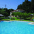 Olive Grove Estates Studios , Tsilivi, Zante, Greek Islands - Image 1