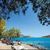 Olive Grove Apartments , Elounda, Crete, Greek Islands - Image 3