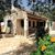 The Old Vineyard , Loggos, Paxos, Greek Islands - Image 1