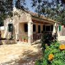 The Old Vineyard in Loggos, Paxos, Greek Islands