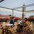 Best Western Hotel Ala , Venice, Venetian Riviera, Italy - Image 1